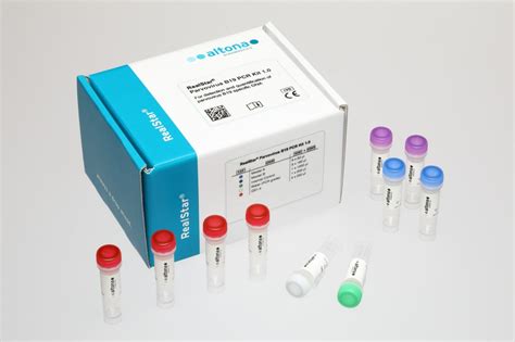 parvovirus b19 pcr test